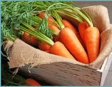 Салат из моркови на зиму: рецепты