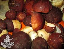 Простые пошаговые рецепты приготовления маринованных белых грибов на зиму в домашних условиях