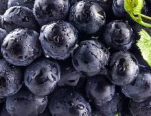 Виноград – польза и вред для организма Как влияет виноград на печень